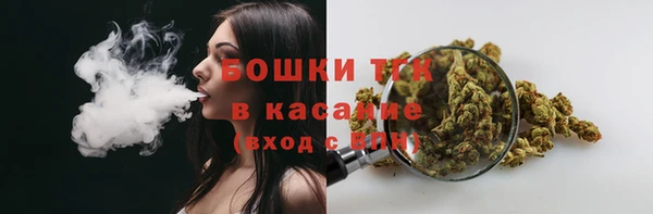прущий лед Арсеньев