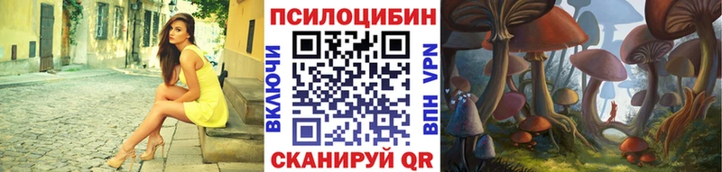 Псилоцибиновые грибы Psilocybine cubensis  Иркутск 